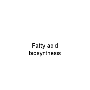 Fatty acid biosynthesis